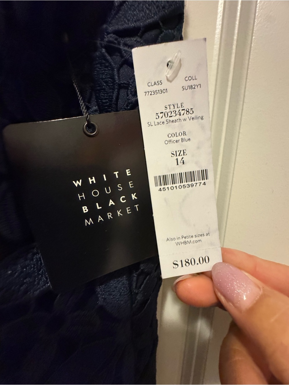 Women's Lace Sheath with Veiling - White House Black Market
